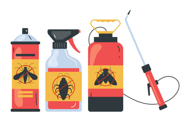 Best Residential Pest Control  in South Padre Island, TX